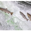 양양군 야구장 이미지