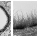 열린사랑의원 이미지
