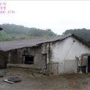 용흥리축사 이미지