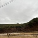 킴스팜 | 딸기따기 체험으로 베리베리 핫한 영덕 킴스베리팜 다녀온 후기