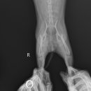 아쿠아동물병원 이미지