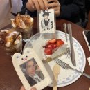 캉캉켄넬 | 기니를 아십니까