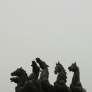 가육