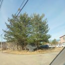 군산문화협동조합 로컬아이 | 부여 조용한 시골 가성비 숙소-정동어울림센터 예약방법과 가격, 이용팁 등 솔직 후기