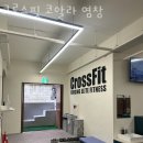 크로스핏 코알라 염창 이미지