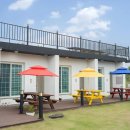 드니오니 이미지