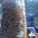 (주)기원농장 이미지