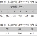 편백나무화장품