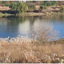 명품부동산중개 이미지