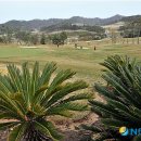 오시아노골프클럽 이미지