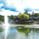 의림지 공영주차장 이미지