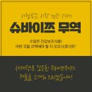 슈바이쯔 이미지