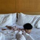 파크하얏트서울 | 서울 호캉스 추천 파크하얏트 서울 코너스톤 조식 후기