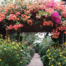 다래골가든 이미지