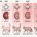 북광주동물약국 이미지