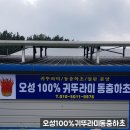 형제토끼농장 이미지