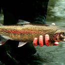 덕봉5천 이미지