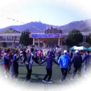 진도초등학교 이미지