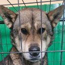 정선가축병원 이미지