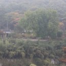 시금당 - 양구군 중앙길 54 | 시금당