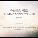 오늘의 '영어성경 사진'(893강) “하나님을 기쁘게 할 수 없는 사람들”(로마서 8장 8절) 이미지