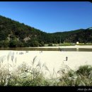 꿈틀거리는 마을 이미지