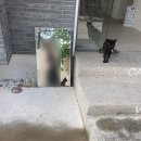 카페원더 - 논산시 황산벌로1098번길 81 | 카페원더