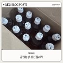 양원농장 | 건강차 추천 양원농장 양원프레쉬 흰민들레차 후기