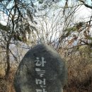 굴밤나무집