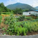 여차리농장 이미지