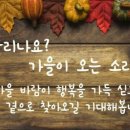 옥포초교병설 이미지