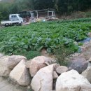 경희농원 이미지