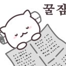 리플헤어