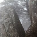 기가대개체_CGV순천 | [달구벌 팔공산] 약사 신앙의 성지