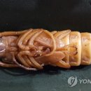 장수환경개발 이미지