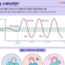 혈당 스파이크 증상 원인 혈당 스파이크 수치 방지 혈당 롤링 이미지