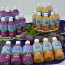 신안센터-10 이미지