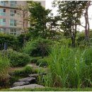 광교갤럭시공인중개사사무소 이미지