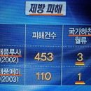 홍수피해 뻥튀기로 연출된 대국민 사기극 ( 펌 ) 이미지