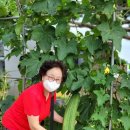 옹기문화의 집 이미지