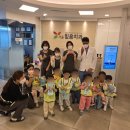 사랑나무치과의원 네이버블로그