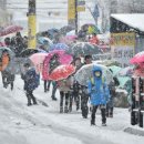 대구명곡초등학교 이미지