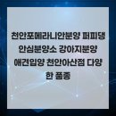 퍼피댕 안심분양소 강아지분양 애견입양 천안아산점 이미지