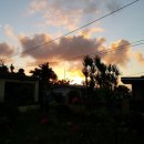 옐로우하우스 이미지