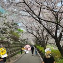 동안교 앞 | 판교 10년차 개발자 낭만 리스트