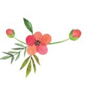 청년다방원평점 이미지