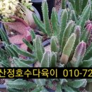 우각농장 이미지