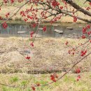 진안천물길 이미지