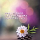 이노센스