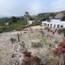 브로딕 제주 이미지